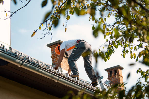 Best Metal Roofing Contractor  in Kannapolis, NC