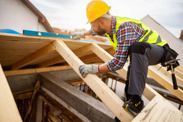 Best Roof Gutter Cleaning  in Kannapolis, NC